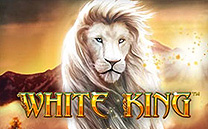 Panalobet White King